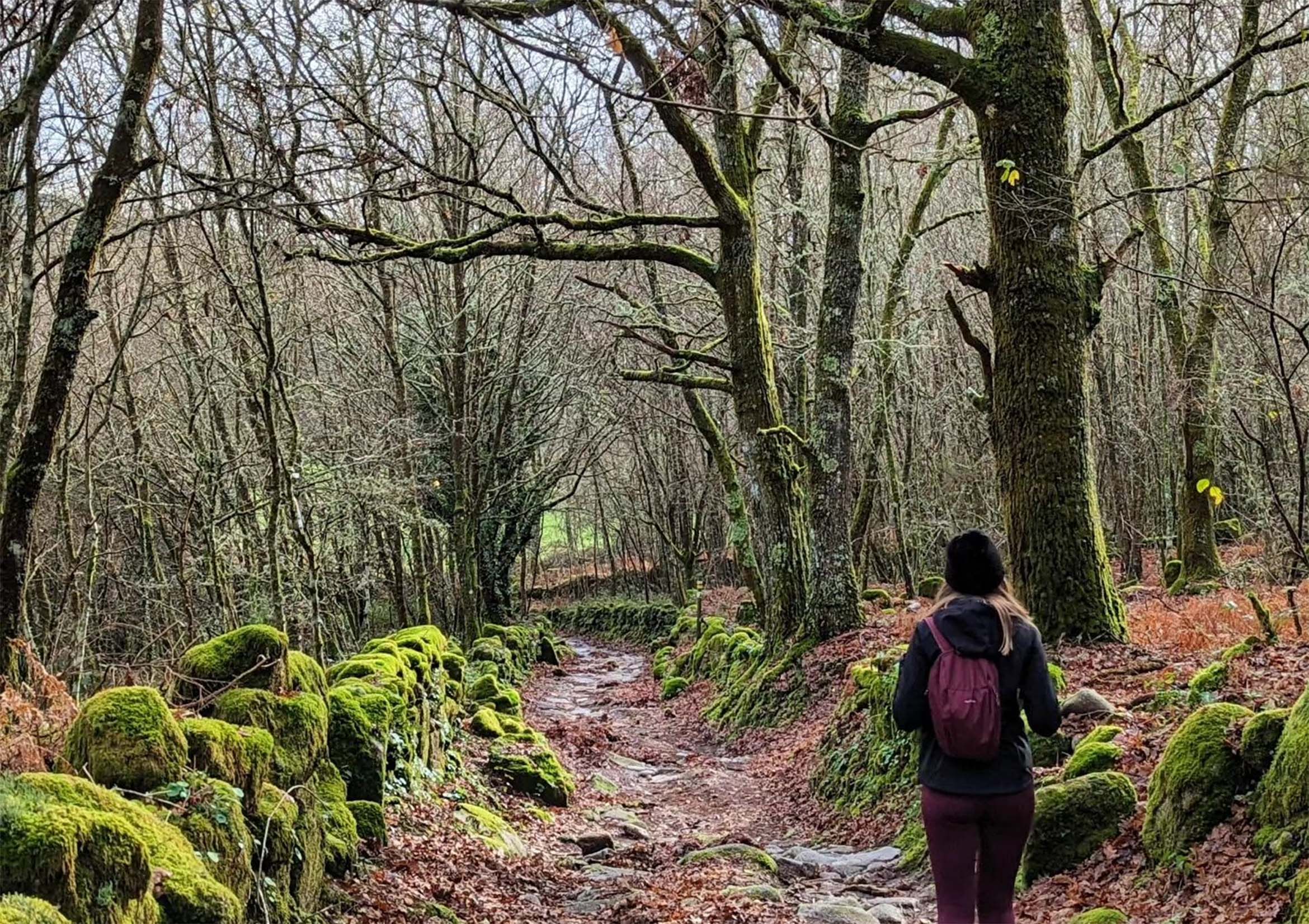 10 Months, 10 Routes: A Captivating Journey Through the Galician Countryside