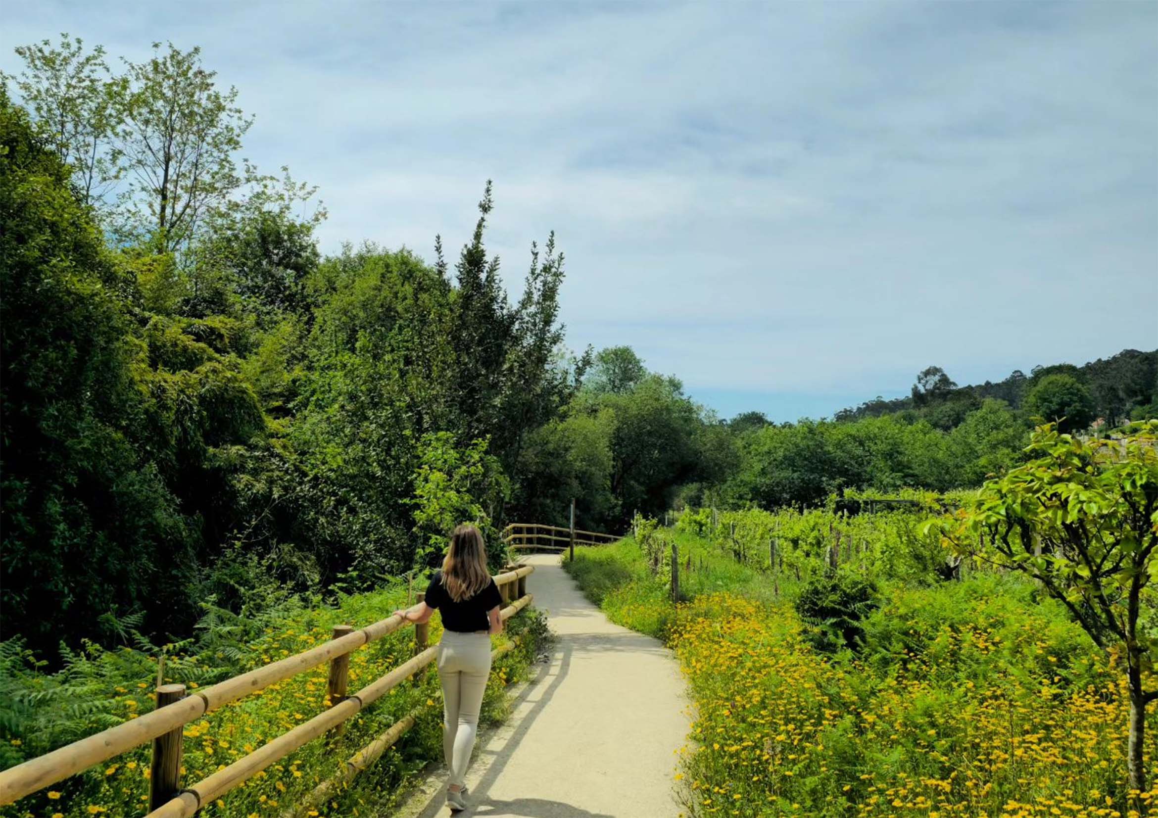 A Riverside Sojourn: A Personal Odyssey on the Senda do Val de Dorrón