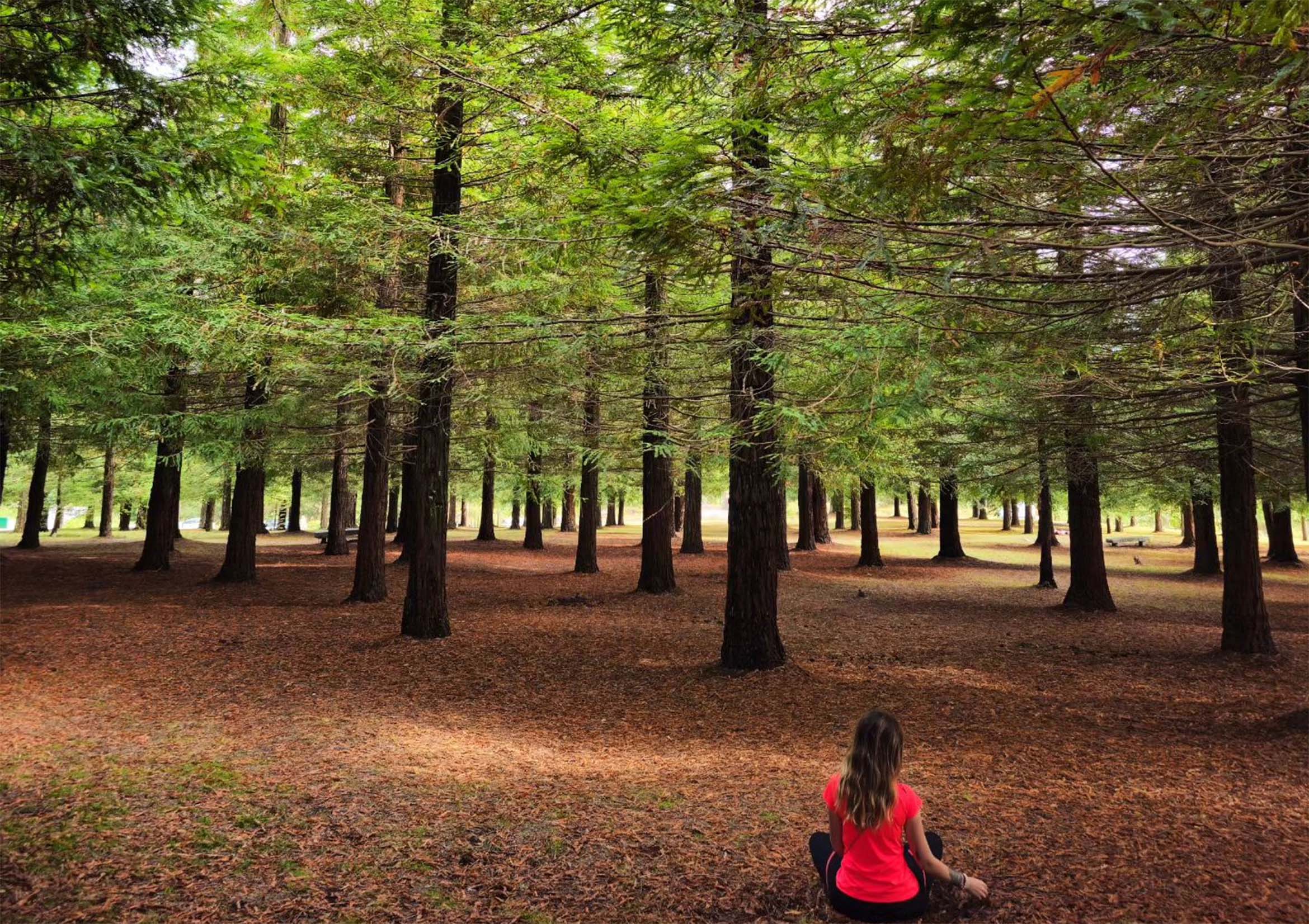 A Tranquil Retreat in Nature’s Embrace: Discovering the Sequoia Grove of Monte Castrove, Poio