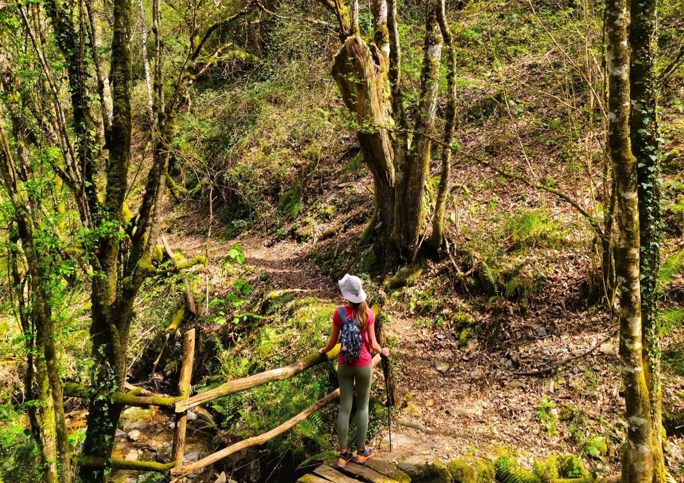 Exploring Lugo’s Charms with My Furry Companion: A Pawsitively Enriching Journey