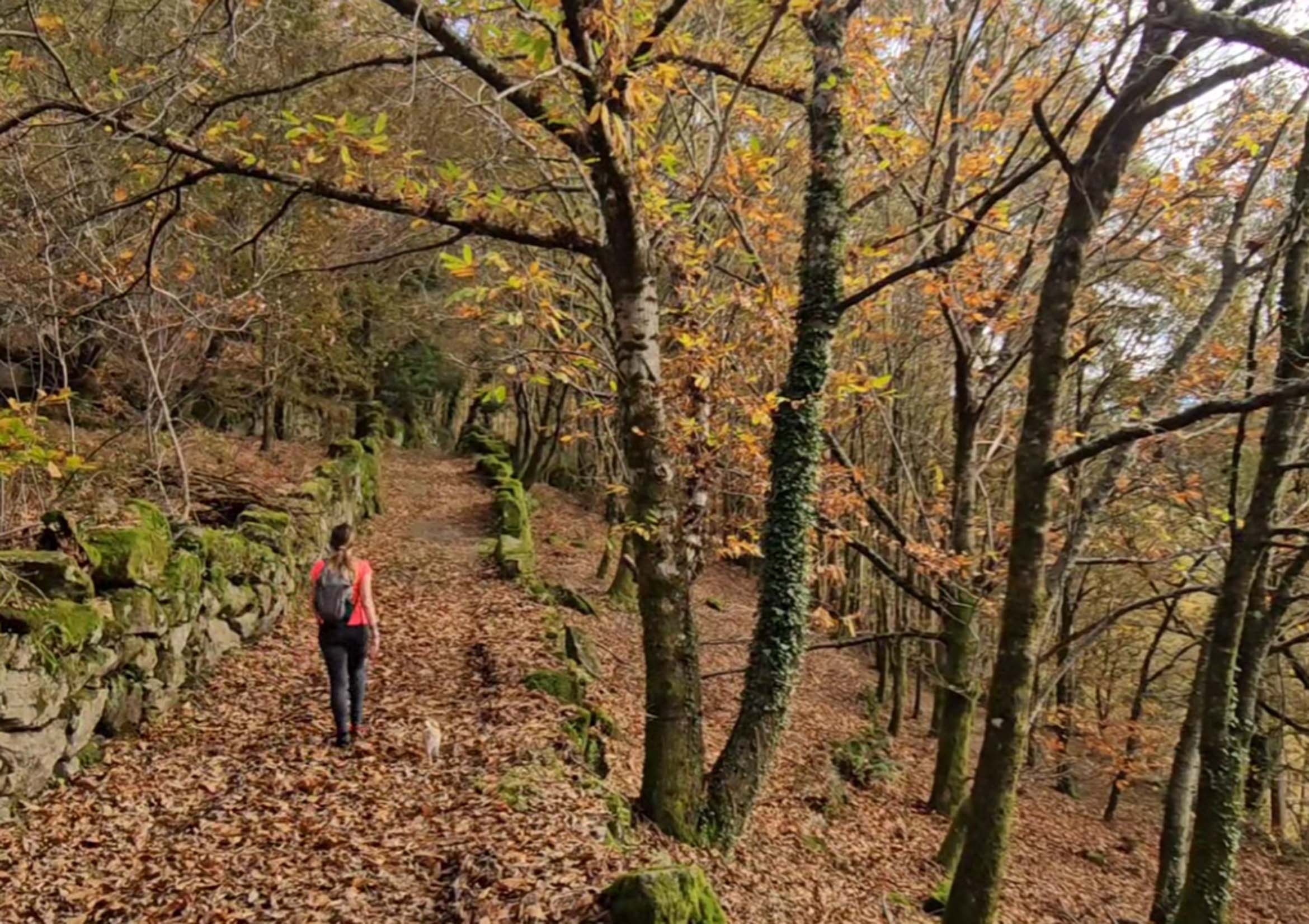 Exploring Ruta da Liberdade/Tras os Pasos do Río Barbeira: A Scenic Adventure with Unexpected Encounters