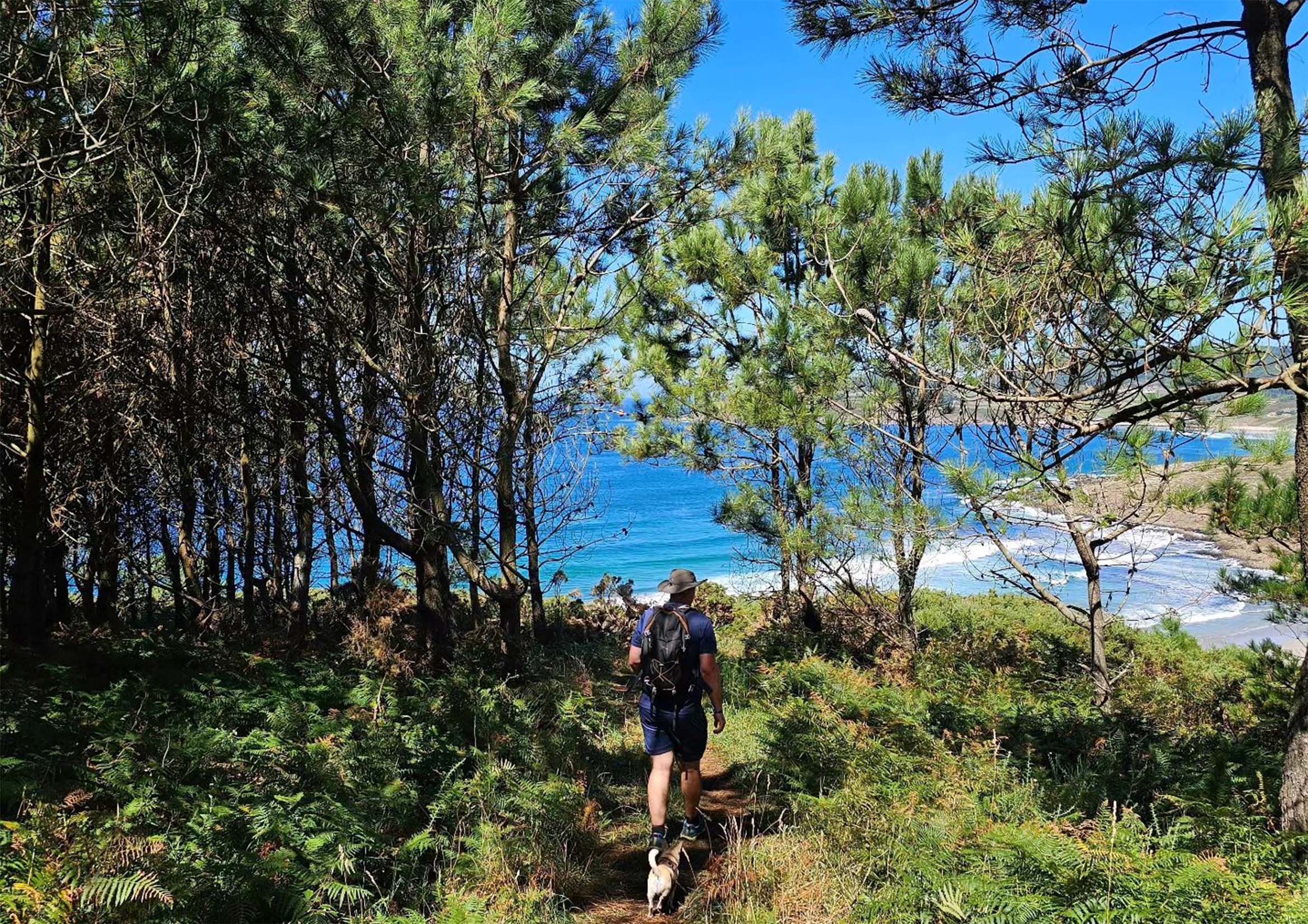 Whispers of the Sea: Lires, Galicia’s Coastal Inspiration