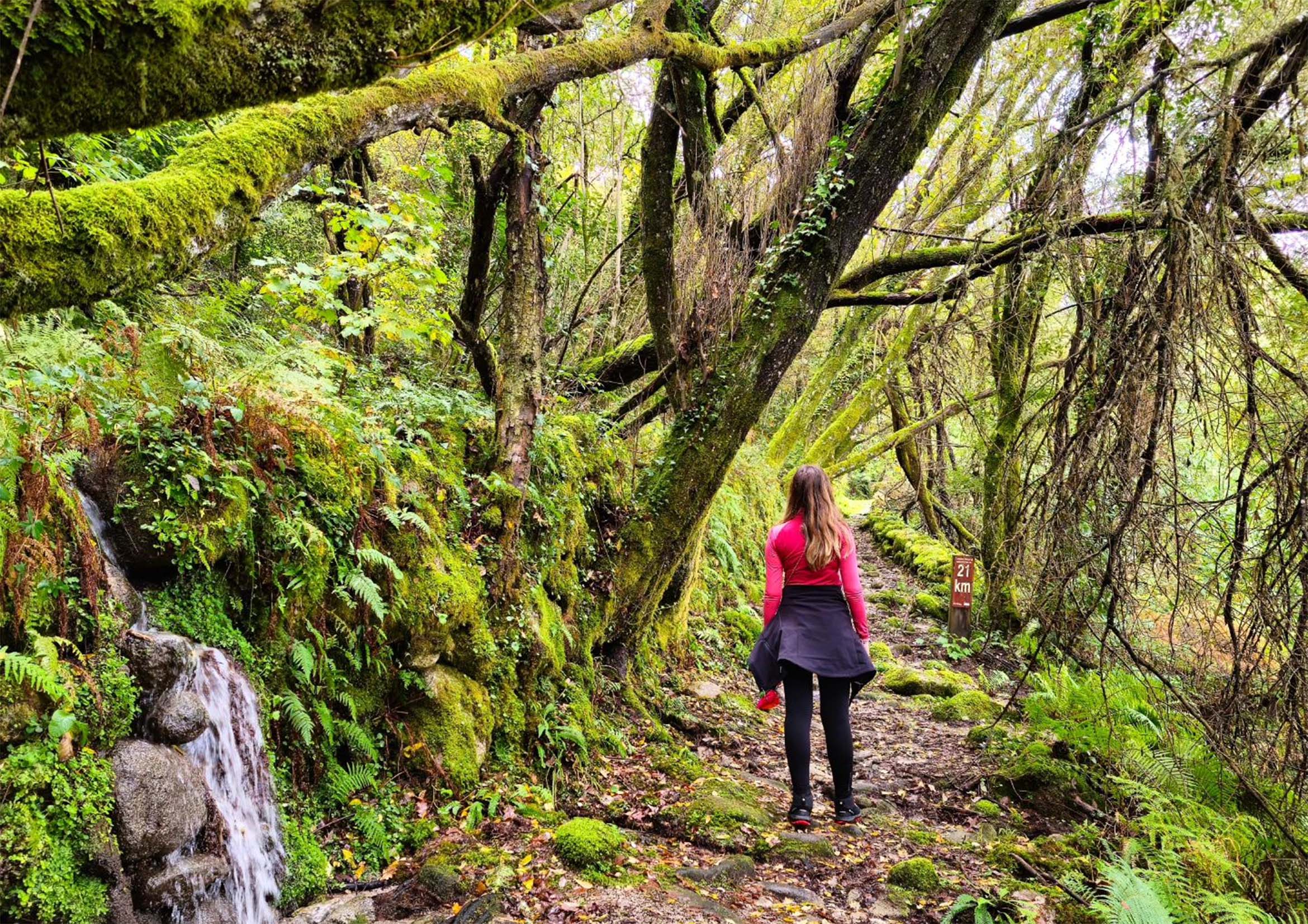 Exploring the San Xoán de Cachón Trail: A Personal Odyssey into Ribeira Sacra’s Wilderness