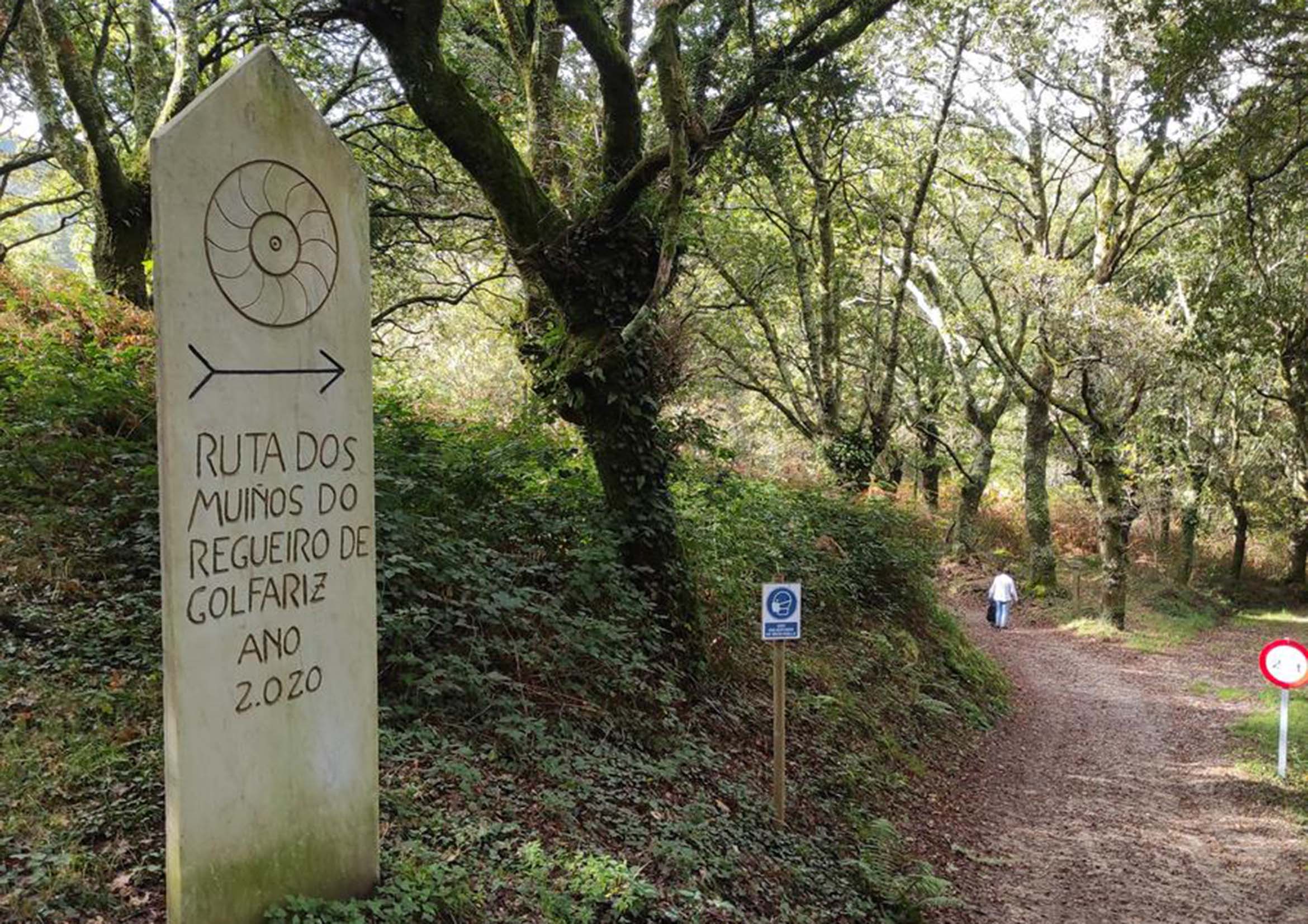 Exploring the Natural Beauty: Hiking in Pardemarín