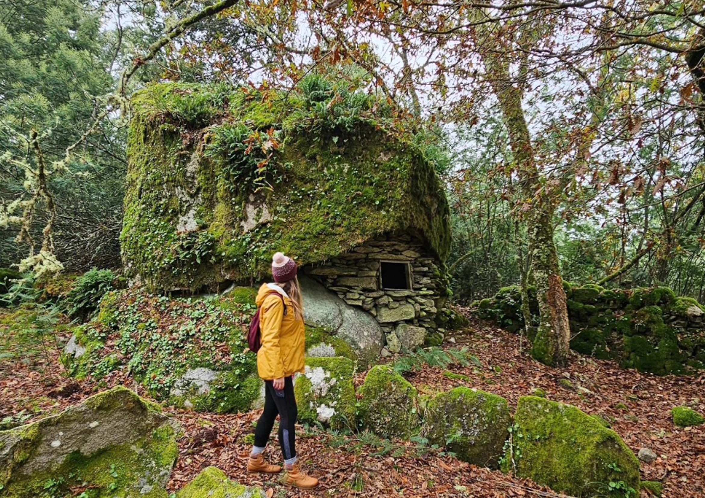 A Journey Through Cova da Gafa: Discovering the Ecological Marvels Within