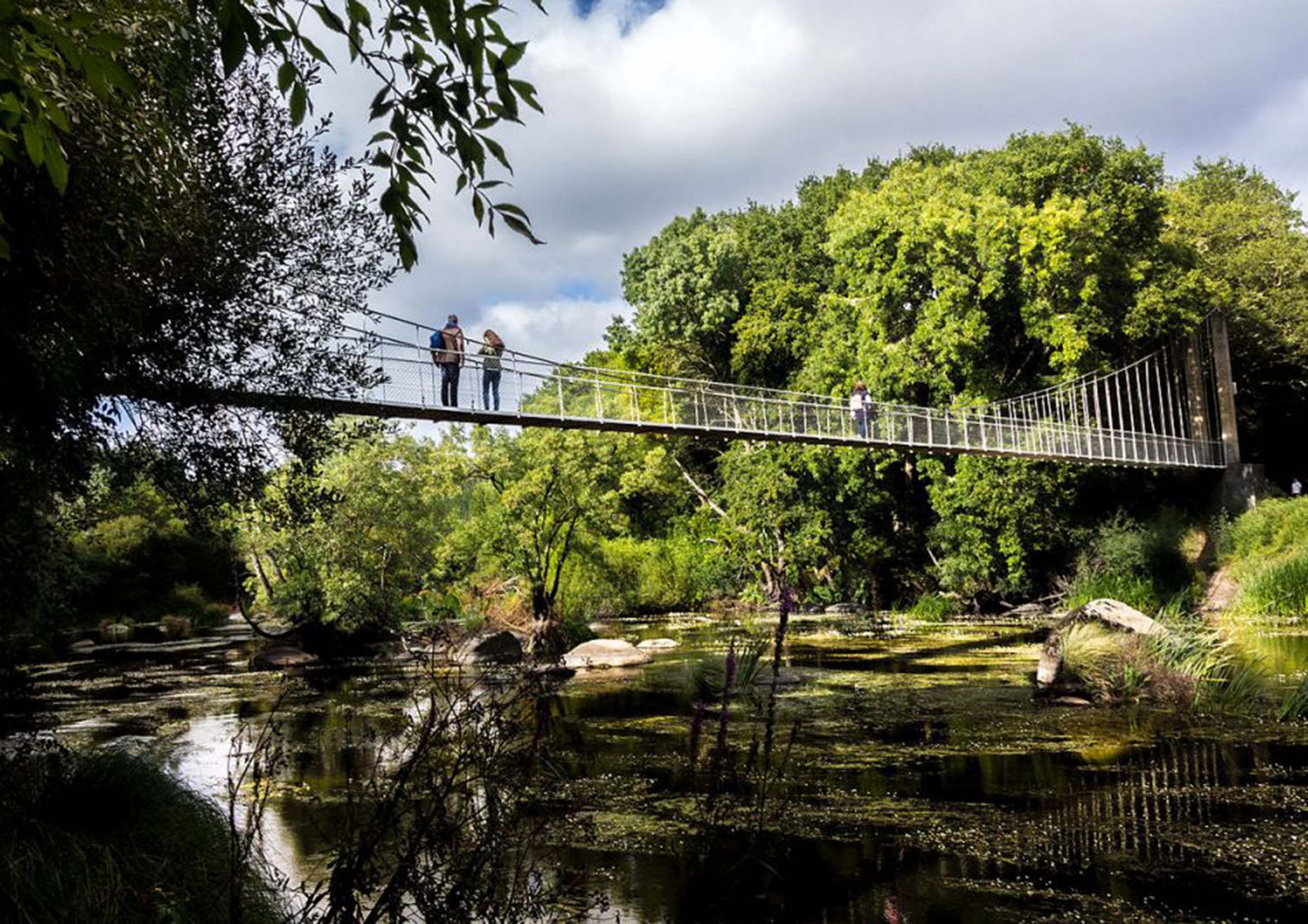 Traversing Heights: The Thrilling Experience of Puente colgante de Calvelo