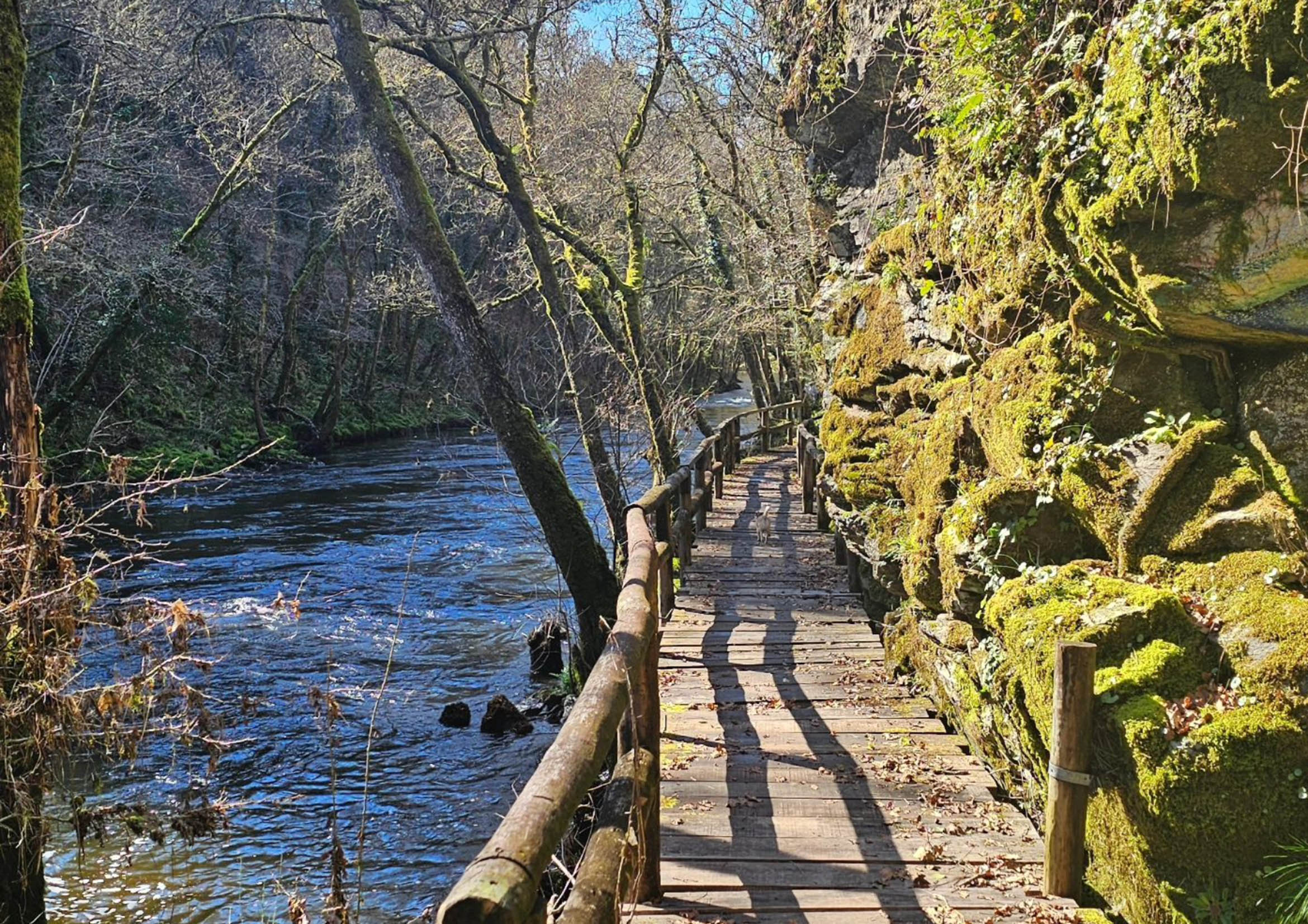 Exploring Outdoor Activities in Cartelle, Ourense