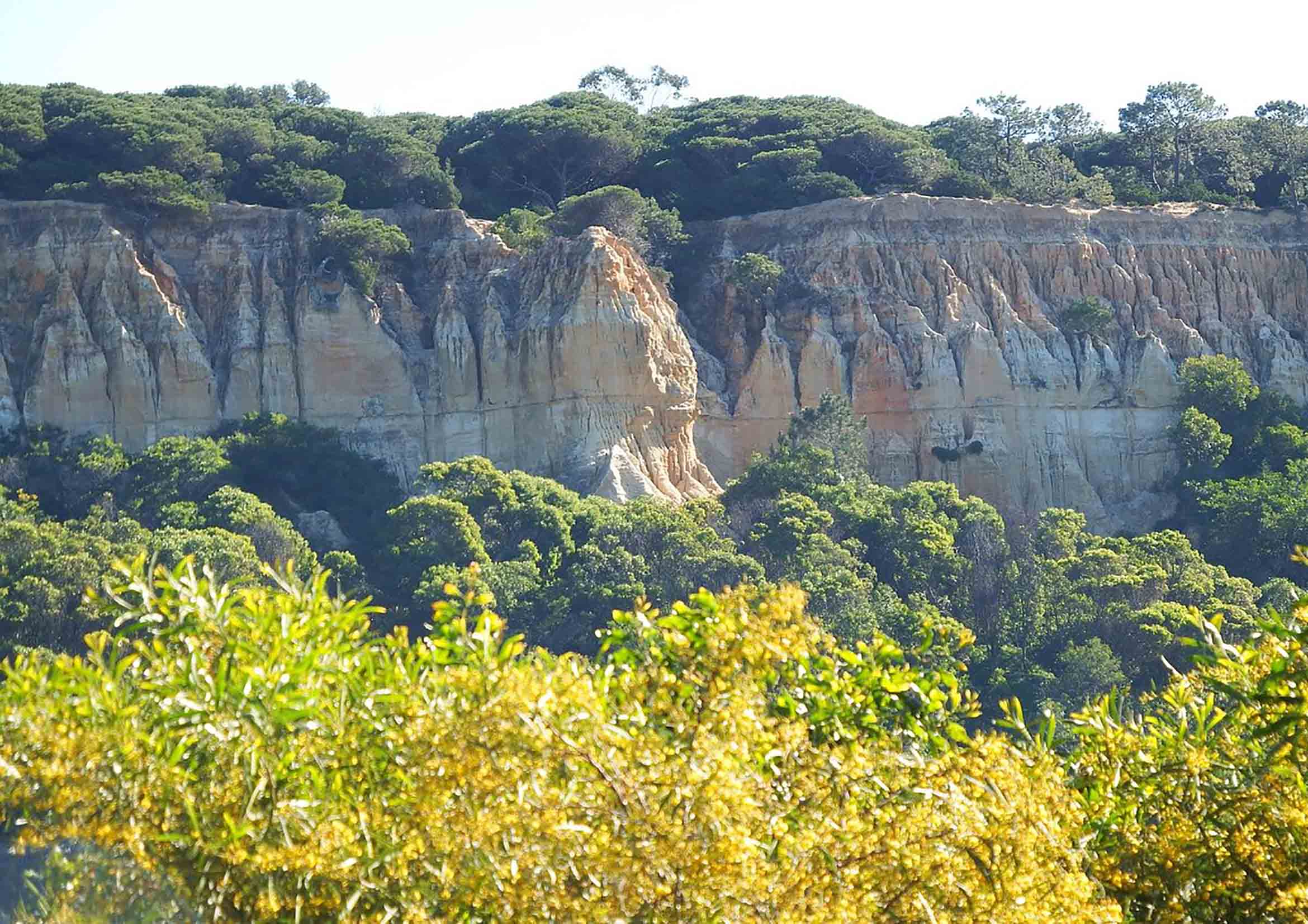 Exploring Amadora’s Natural Landscapes: Embrace the Gifts of Nature